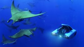 El Nemo tiene un precio de 975.000 euros.