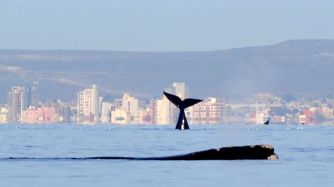 0505_madryn