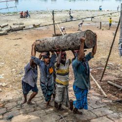 Bangladesh. Los trabajadores llevan un tronco sobre su cabeza cerca del río Buriganga en Dhaka el 6 de mayo de 2020. (Foto de MUNIR UZ ZAMAN / AFP) | Foto:AFP