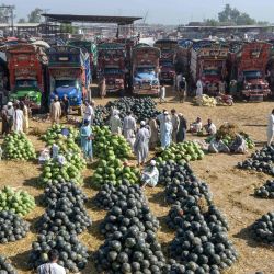 Pakistan. Los vendedores venden sandías en un mercado de frutas en Peshawar el 6 de mayo de 2020. (Foto de Abdul MAJEED / AFP) | Foto:AFP