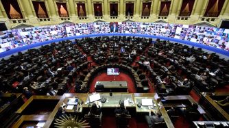 camara de diputados sesion virtual g_20200506