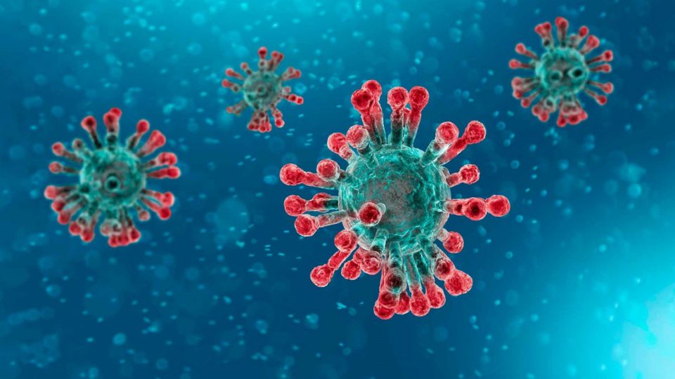 Los tres coronavirus que causan enfermedades graves (SARS-CoV, MERS-CoV y SARS-CoV-2) provienen de murciélagos, dijo Nature.
