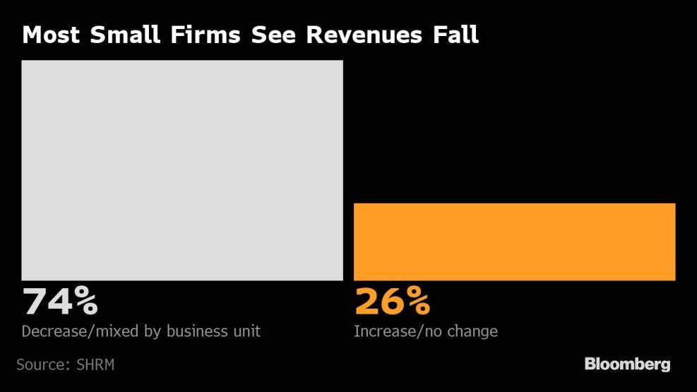 Most Small Firms See Revenues Fall