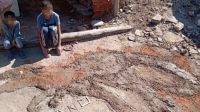 Luciano hizo la tarea de arte con su hermano de 4 años.
