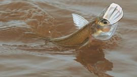 En Weekend de mayo, las mejores opciones para estar listos cuando se levante la cuarentena.