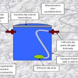 Gráfico del debido tratamiento que deben recibir estos pequeños peces.