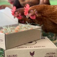 Granja Las Marecas