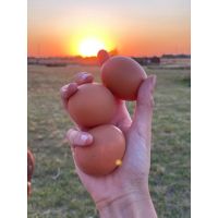 Granja Las Marecas