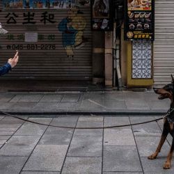Una mujer con una máscara facial toma fotos de su perro en el área de China Town de Yokohama el 10 de mayo de 2020. (Foto de Philip FONG / AFP) | Foto:AFP