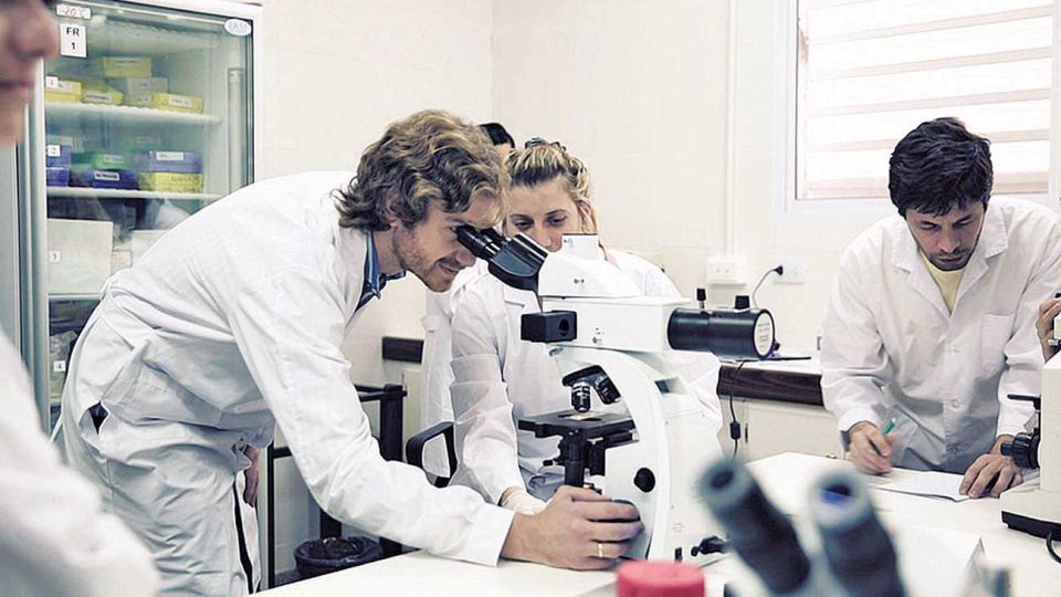 Equipo. Fernando Rivero lidera el grupo de la Universidad Nacional de Santiago del Estero a cargo de la investigación, junto a la Universidad Nacional de La Plata.