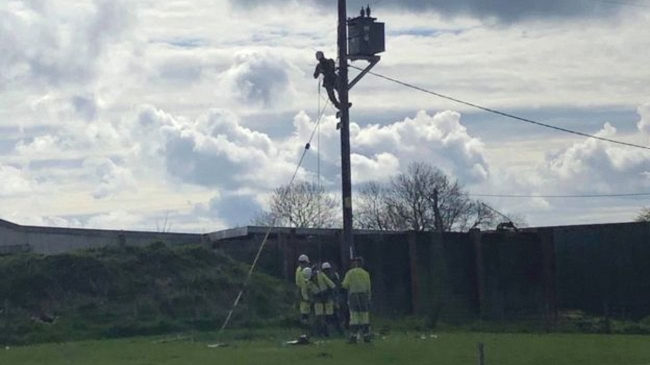 Empleados intentan arreglar el poste de luz. 