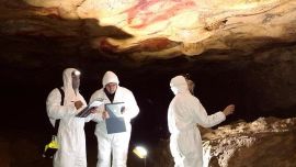 Los cientificos revisan cuevas y selvas en busca de 1,6M de virus desconocidos.