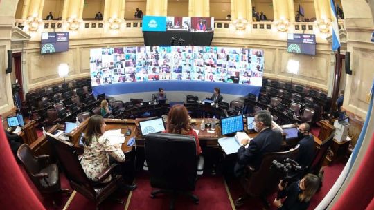 Primera sesión virtual del Senado