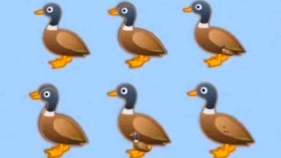 El desafío de la imagen de los patos recorrió las redes en los últimos día.