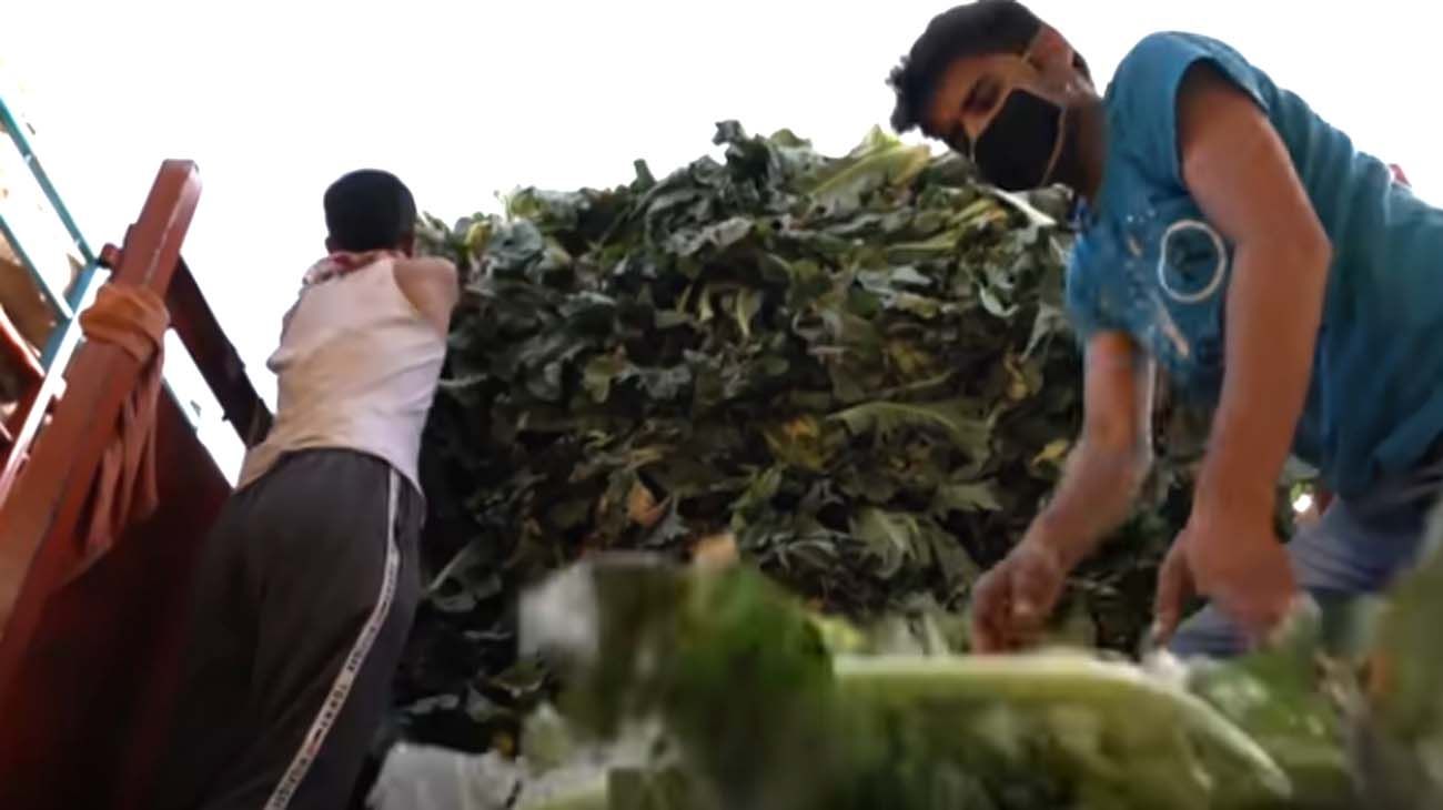 En algunos puntos del planeta la comida no llega; en otros hay que tirarla. En todas partes, la pandemia hizo cortar la cadena de distribución