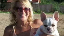 ataque bulldog frances
