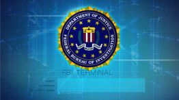 FBI delitos informáticos