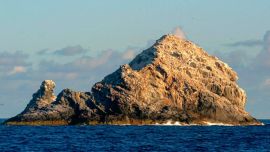 Su nombre en lengua hawaiana significa “tortuga que sale a la superficie a respirar”.