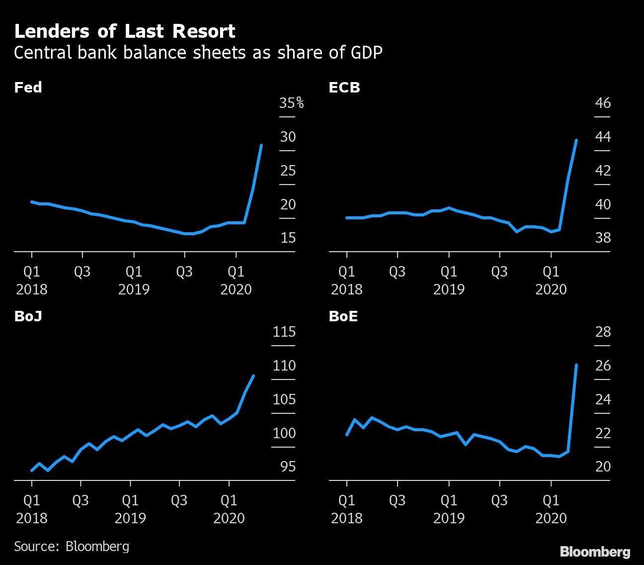 Lenders of Last Resort