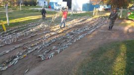 Los atraparon con 500 m de redes y más de 1.000 kg de pejerreyes.