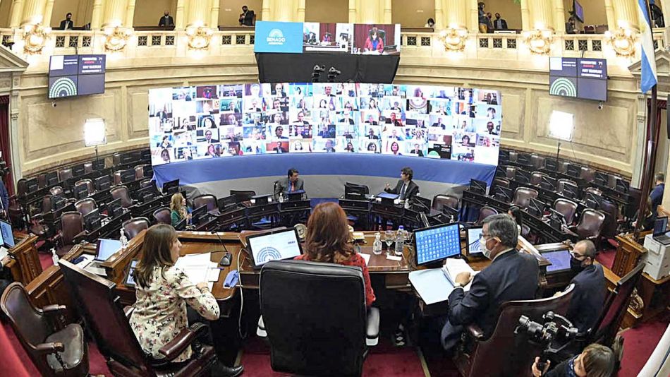 20200517_cristina_sesion_virtual_prensa_senado_g