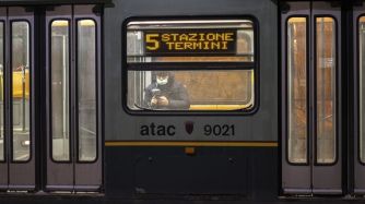 0518_trenes