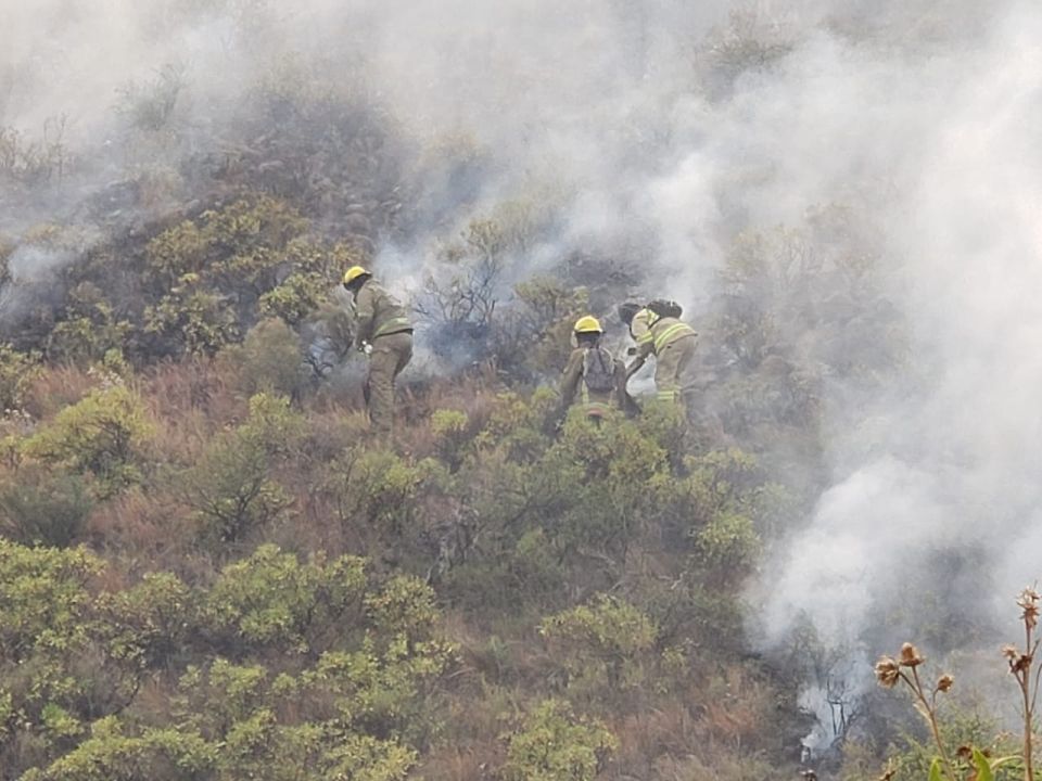 21-5-2020 incendio san luis3
