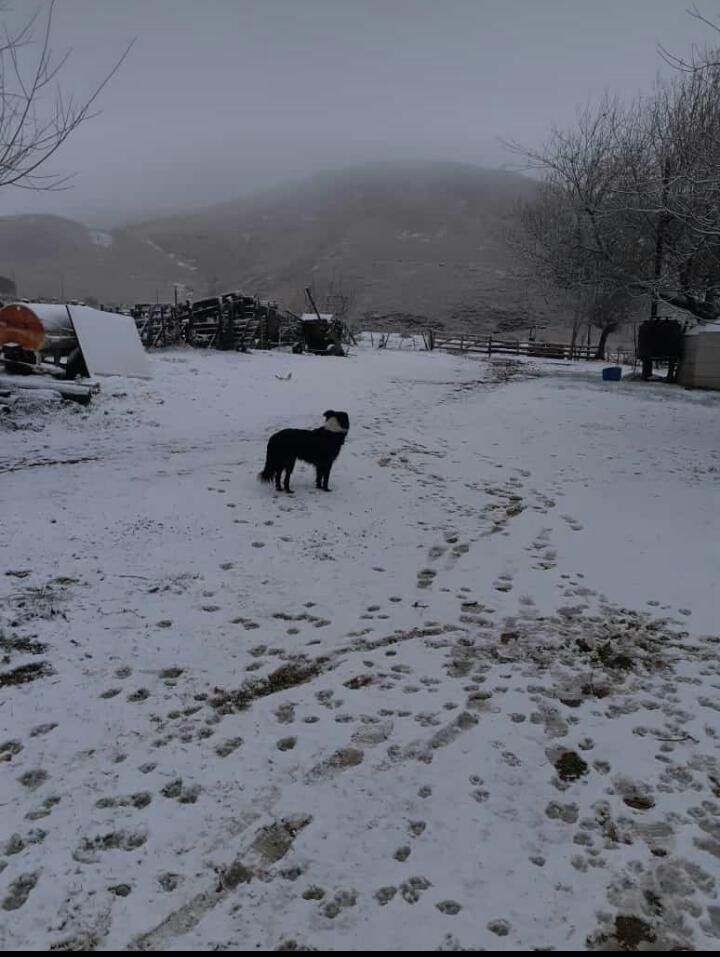 Nevó en Tafi del Valle