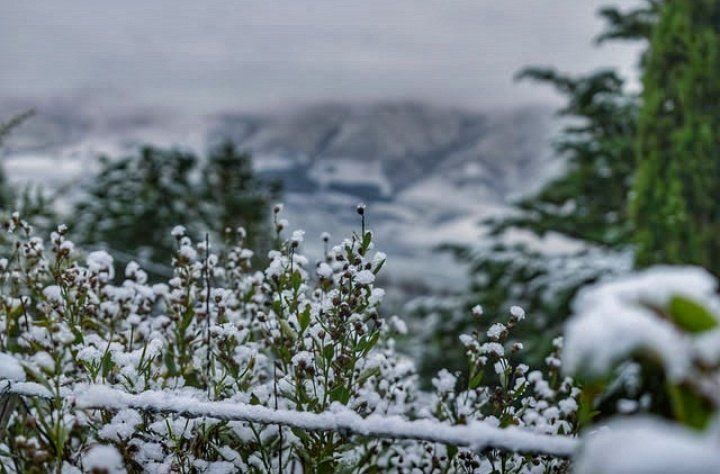 Nevó en Tafi del Valle