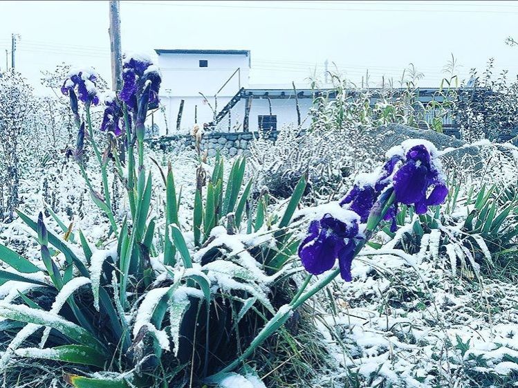 Nevó en Tafi del Valle