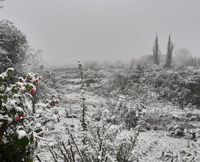 Nevó en Tafi del Valle