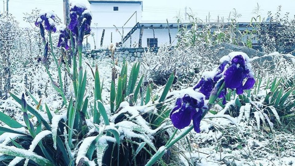 Nevó en Tafi del Valle