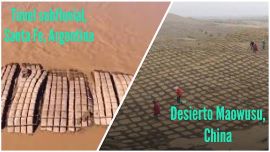 Desde el aire, el desierto chino, hoy reverdecido, se parece a la malla geotextil del túnel subfluvial argentino.
