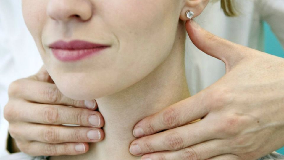 Una glándula vital para el sistema endócrino