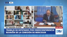 Mercosur comision Diputados 20200526