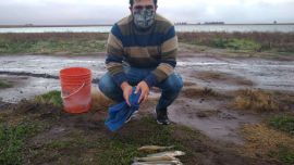 2605_pesca_pejerreyes_goizueta