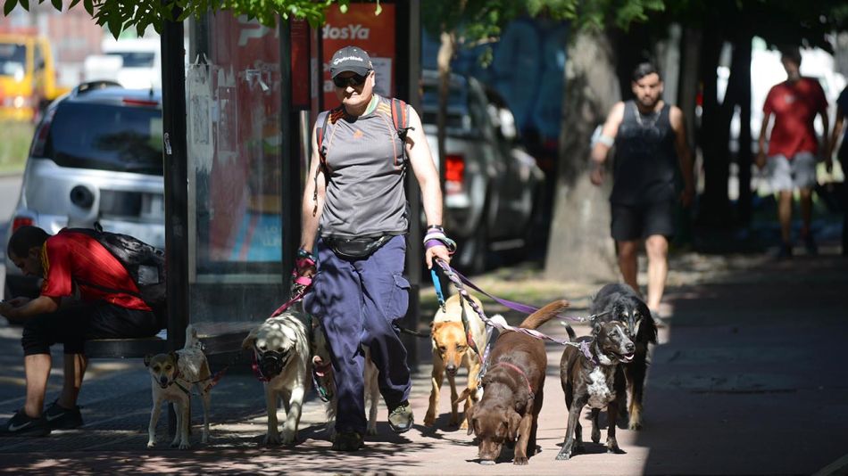 Paseadores de perros 20200528