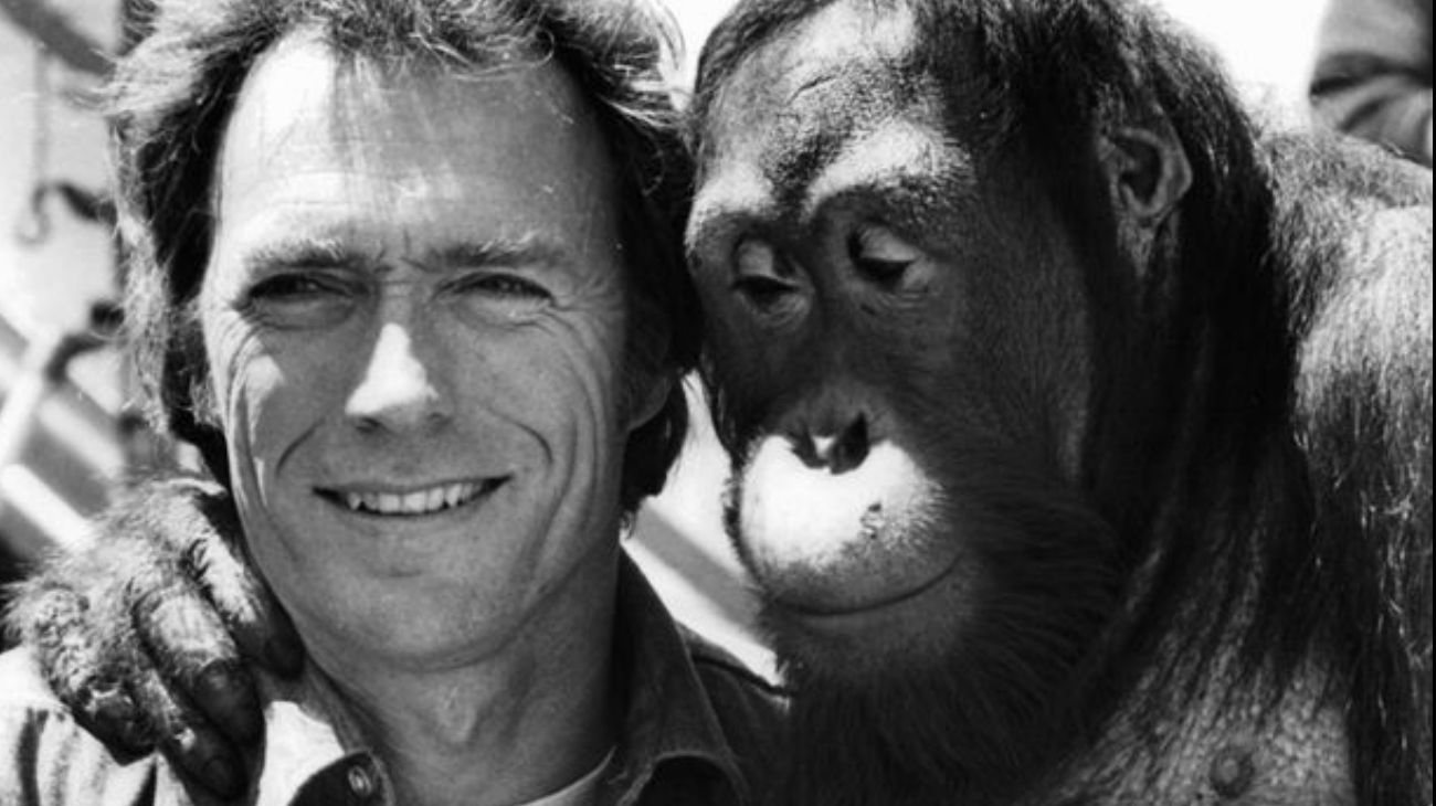 Clint Eastwood, un ícono de Hollywood