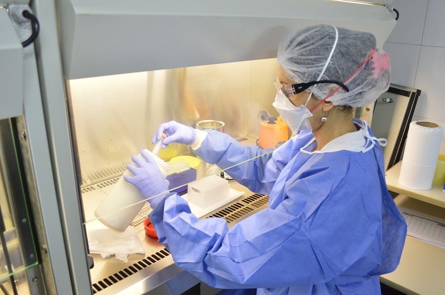 MUESTRAS. En el lugar se realizan unos 1200 análisis diarios utilizando la técnica de 