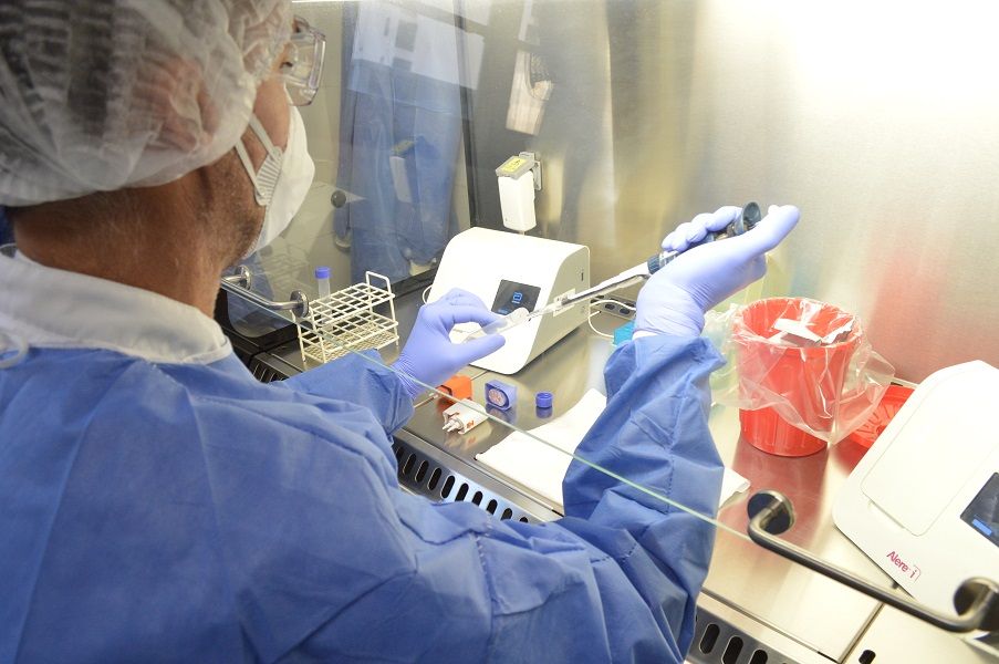 MUESTRAS. En el lugar se realizan unos 1200 análisis diarios utilizando la técnica de 