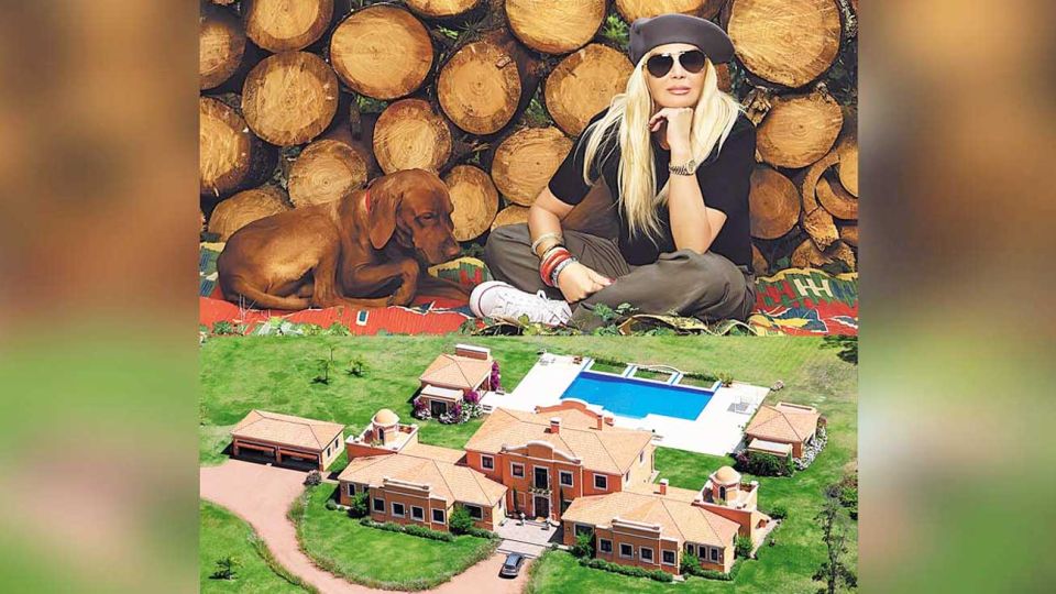 Chacra. La Mary es “el lugar en el mundo de Susana” y allí suele pasar sus veranos. Cuenta con piscina, un lago artificial y hasta una zona de bosque cercana a la mansión.
