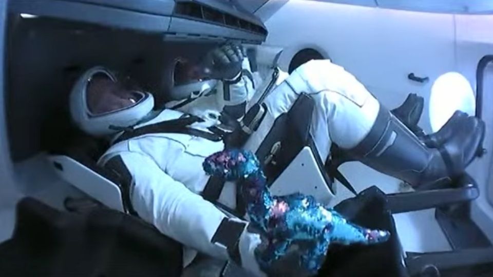 La mascota de los astronautas. Un dinosaurio de peluche.