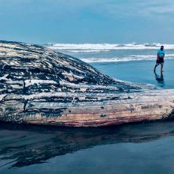  Foto del folleto publicado por el Consejo Nacional de Áreas Protegidas de Guatemala (CONAP) que muestra a un hombre caminando junto a una ballena muerta de 13 metros de largo varada en la playa de El Tulate, Guatemala. | Foto:CONAP / AFP
