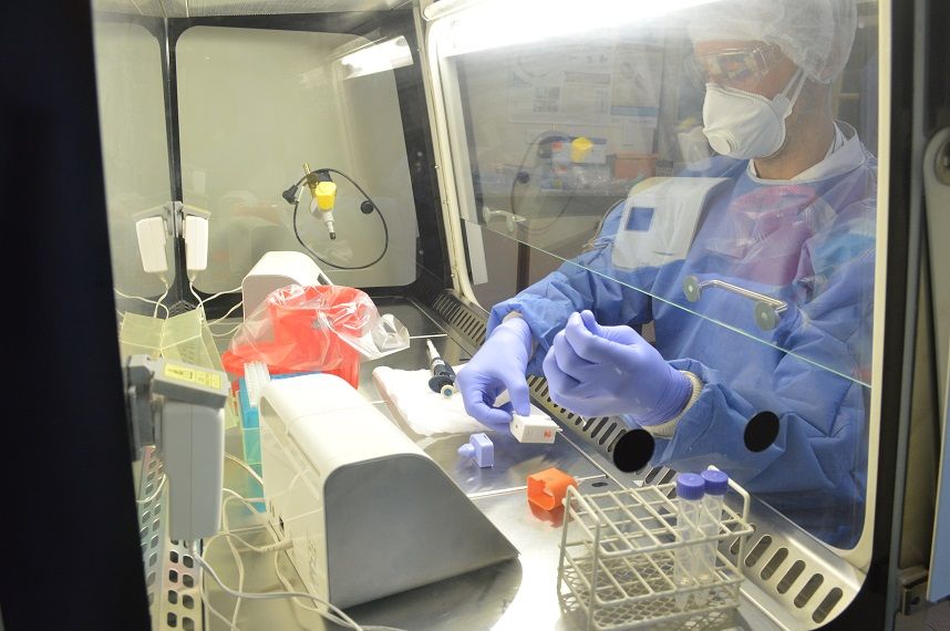 CENTRAL: Se están analizando un promedio de 1.200 muestras.
