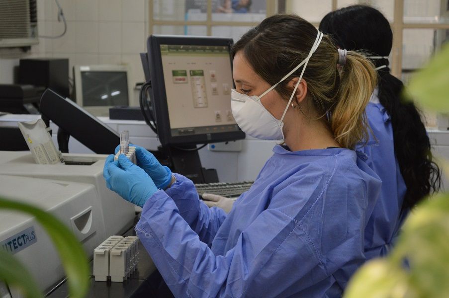 BIOSEGURIDAD. “Cuando esas muestras llegan al laboratorio, dichas cajas se abren en una habitación especial y se manipula con guantes, gafas, cofia y todas las normas de bioseguridad necesarias para esta tarea", explican desde el Laboratorio.