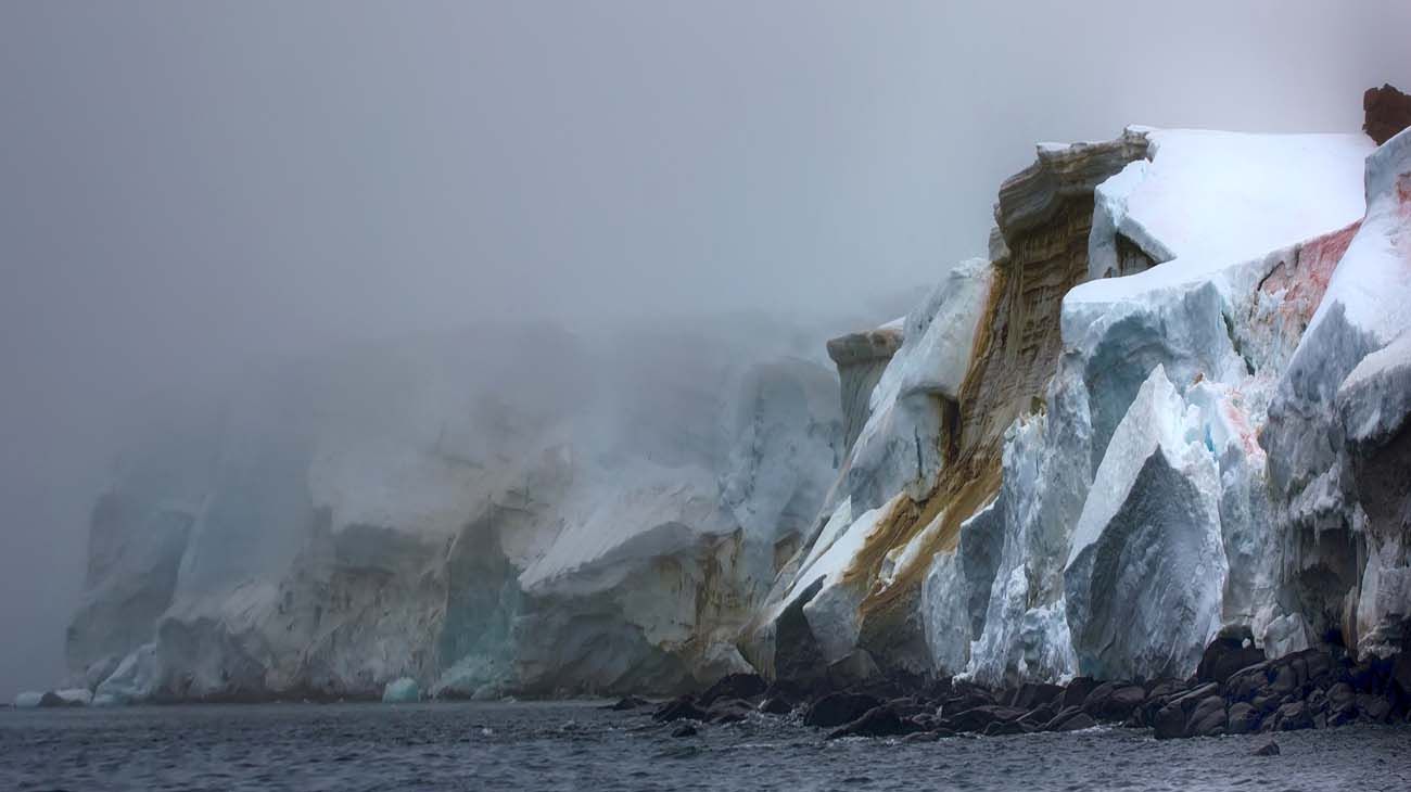 La Chlamydomonas nivalis vive en las zonas heladas del Artico, la Antártida y también los Alpes.