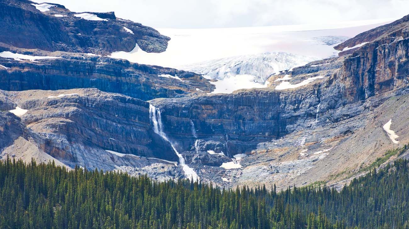 La Chlamydomonas nivalis vive en las zonas heladas del Artico, la Antártida y también los Alpes.