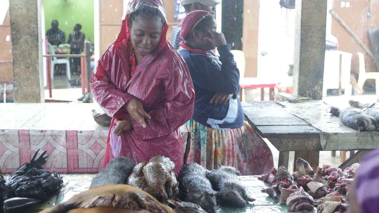 Caza furtiva, protección y comercialización en mercados.