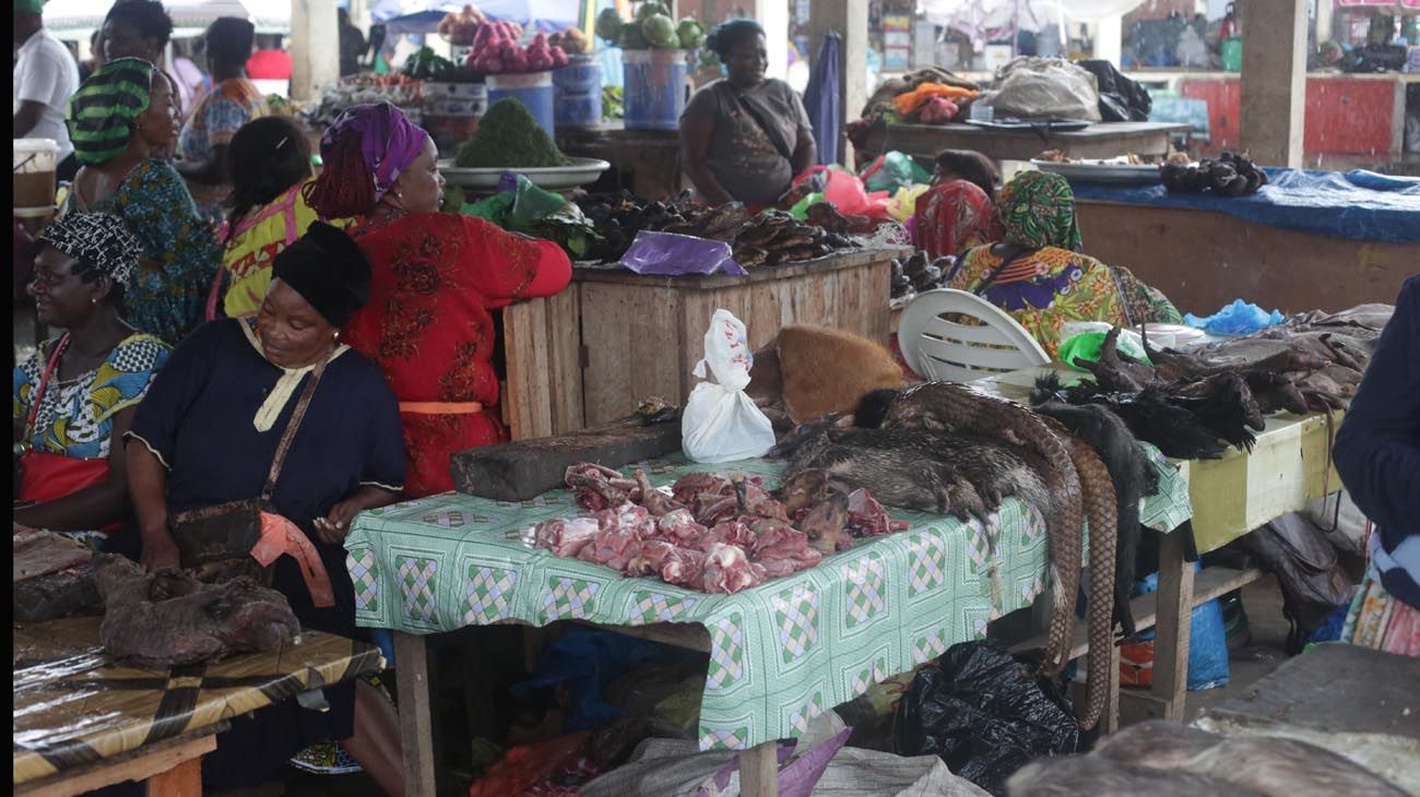 Caza furtiva, protección y comercialización en mercados.