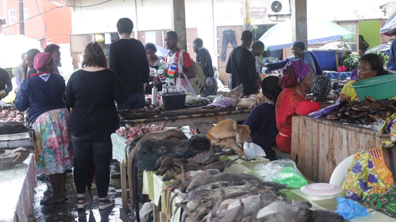 Caza furtiva, protección y comercialización en mercados.